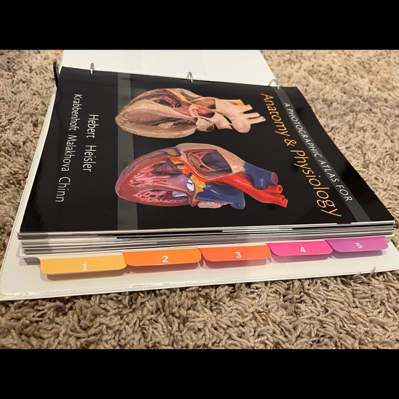 Anatomy and physiology lab textbook - Picture 4 of 4